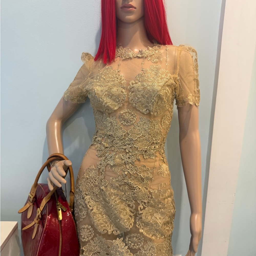 Elegant Lace Overlay Dress